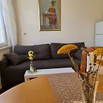 Dami אורביץ